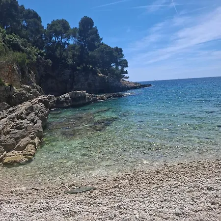 Апартаменты Tartini